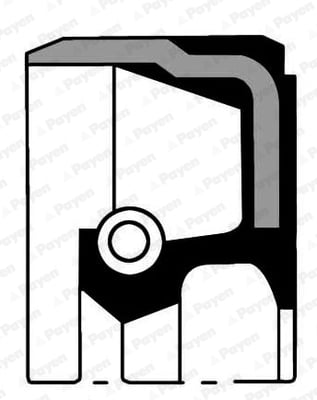 Shaft Seal, crankshaft PAYEN NJ222