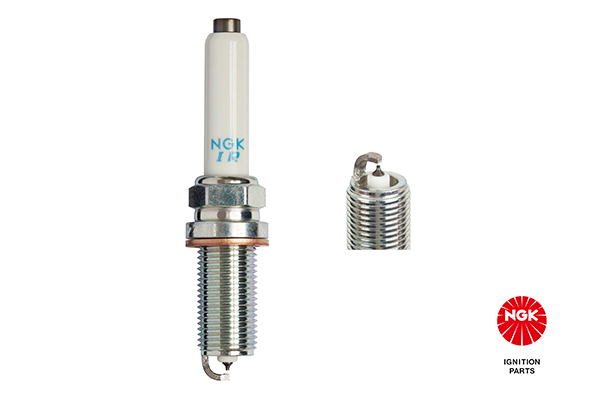 Spark Plug Ngk Trodo Com