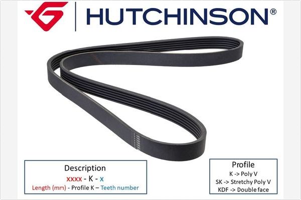 1115 K 6 HUTCHINSON DRIVE BELT MICRO-V MULTI RIBBED BELT P NEW OE REPLACEMENT