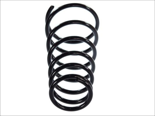 Coil Spring Magnum Technology S00311MT