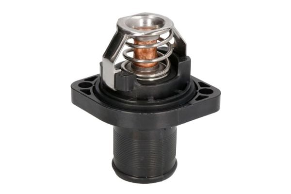 Thermostat, coolant THERMOTEC D2C003TT
