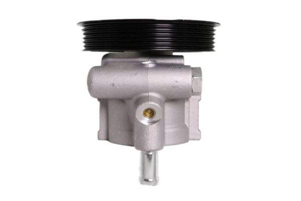 Power Steering Pump for RENAULT Clio Kangoo Megane Scenic Thalia  /DSP105/