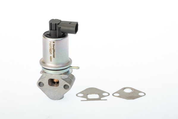 EGR Valve WAHLER 710778D/1