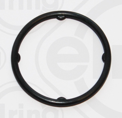 Gasket, timing case ELRING 326.200