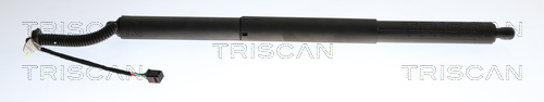 Gas Spring, boot/cargo area TRISCAN 8710 29323
