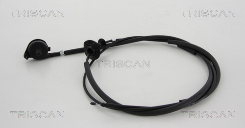 Bonnet Cable TRISCAN 8140 25604