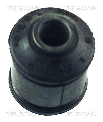 Control Arm-/Trailing Arm Bush TRISCAN 8500 65806