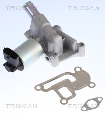 EGR Valve TRISCAN 8813 24001