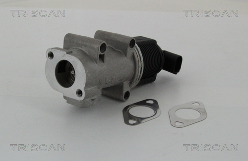 EGR Valve TRISCAN 8813 10005