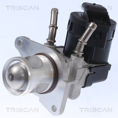 EGR Valve TRISCAN 8813 11001