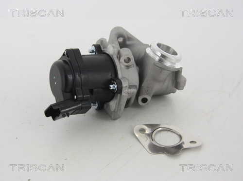 EGR Valve TRISCAN 8813 28003