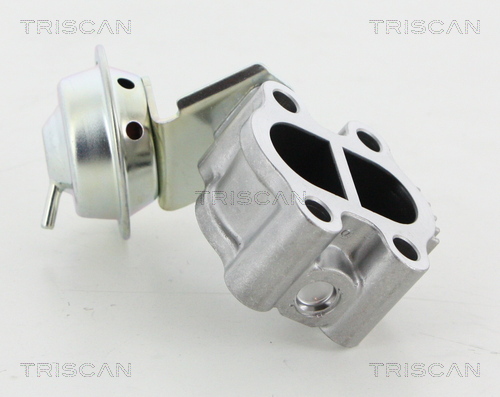 EGR Valve TRISCAN 8813 13060