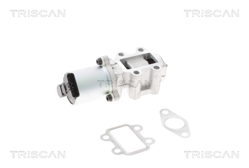 EGR Valve TRISCAN 8813 13101