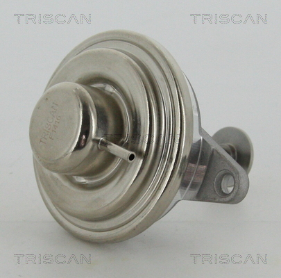 EGR Valve TRISCAN 8813 24054
