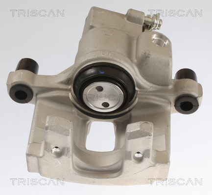 EGR Valve TRISCAN 8813 25201