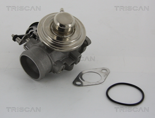 EGR Valve TRISCAN 8813 29001