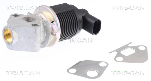 EGR Valve TRISCAN 8813 29009