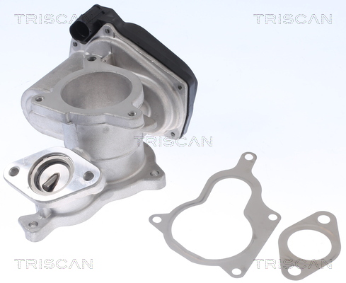 EGR Valve TRISCAN 8813 29019