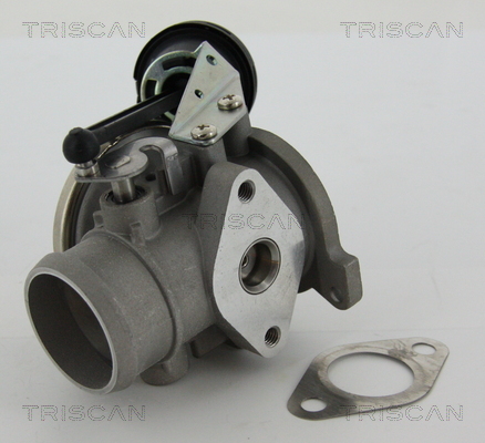 EGR Valve TRISCAN 8813 29022
