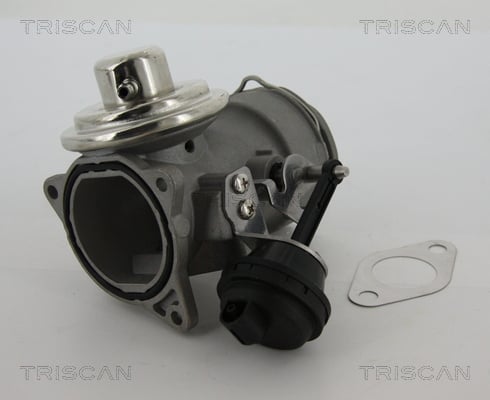 EGR Valve TRISCAN 8813 29040