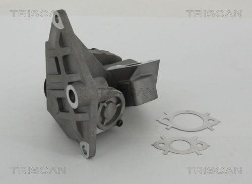 EGR Valve TRISCAN 8813 29047