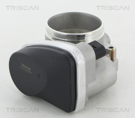 Throttle body TRISCAN 8820 11002