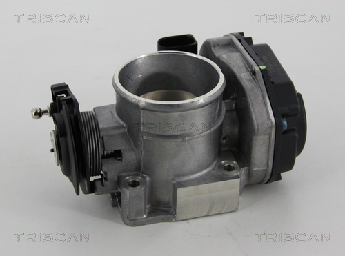 Throttle body TRISCAN 8820 29018