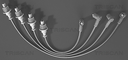 Ignition Cable Kit TRISCAN 8860 4331