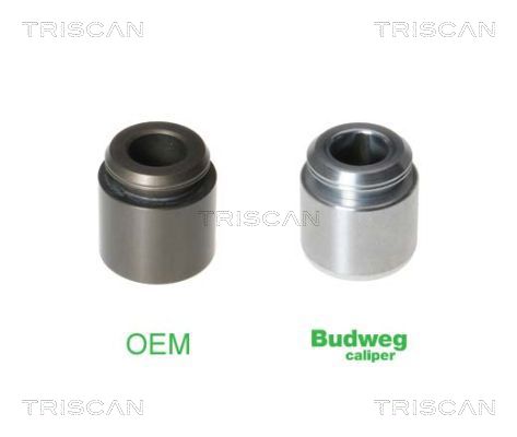 Piston, brake caliper TRISCAN 8170 232803