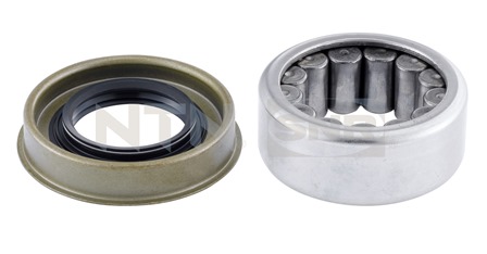 Wheel Bearing Kit SNR R141.34