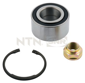 Wheel Bearing Kit SNR R174.12