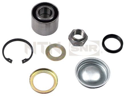 Wheel Bearing Kit SNR R159.19