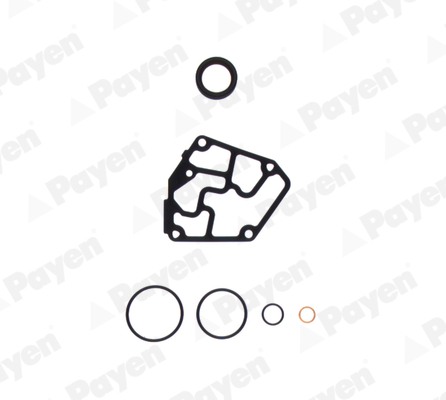 Gasket Kit, crankcase PAYEN EC060