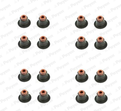 Seal Set, valve stem PAYEN HR5086