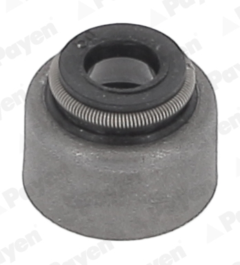 Seal Set, valve stem PAYEN HR5150