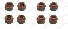 Seal Set, valve stem PAYEN HR569