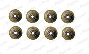 Seal Set, valve stem PAYEN HR789