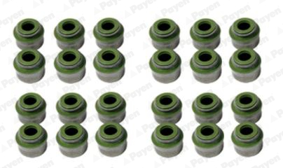 Seal Set, valve stem PAYEN HR800