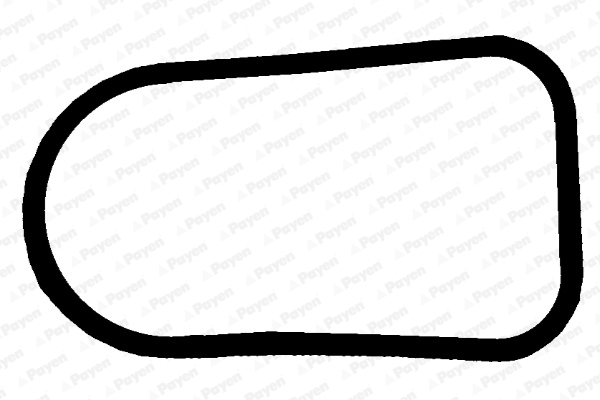 Gasket, intake manifold PAYEN JD5379
