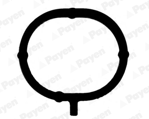 Gasket, intake manifold PAYEN JD6191