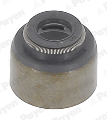 Seal Ring, valve stem PAYEN KJ570