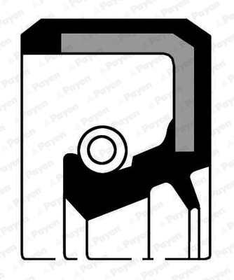 Shaft Seal, crankshaft PAYEN NA5017