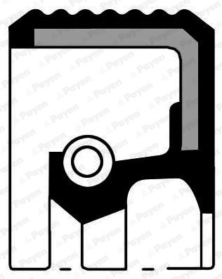 Shaft Seal, camshaft PAYEN NA5258