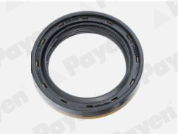 Shaft Seal, differential PAYEN NA5503