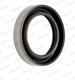 Shaft Seal, differential PAYEN NK122
