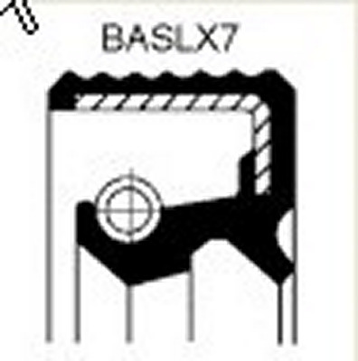 Seal Ring CORTECO 12036967B