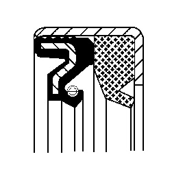 Seal Ring CORTECO 12018617B