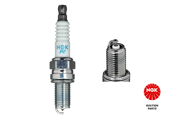 Spark Plug NGK 3641
