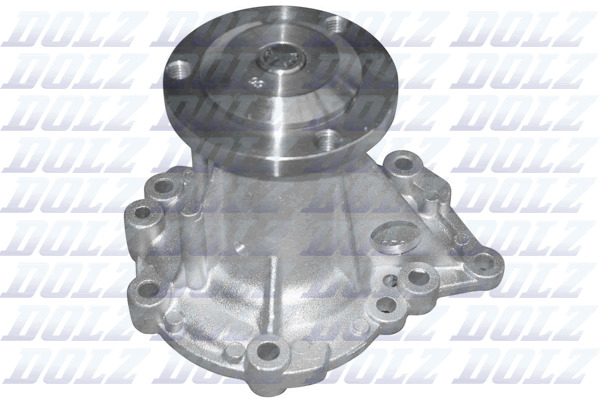 Water Pump DOLZ R210