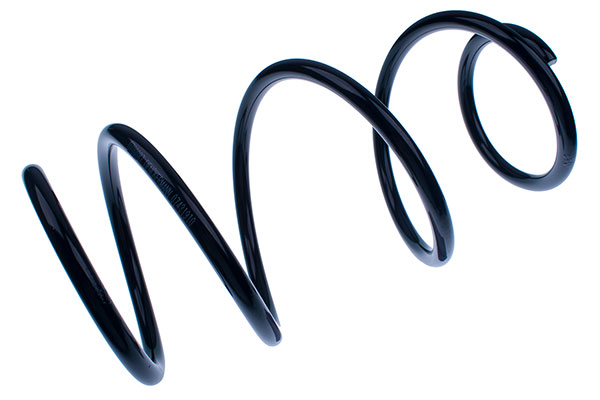 Coil Spring DENCKERMANN D700087